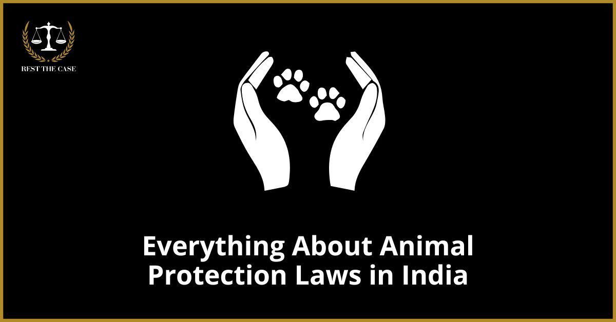 The Fight for Animal Rights in India: Understanding the Laws and Regulation